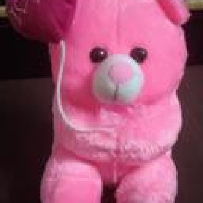Toys Cute Teddy Bear & Balloon Soft Plush Toy Gift for Someone Special (Pink) Profile Picture