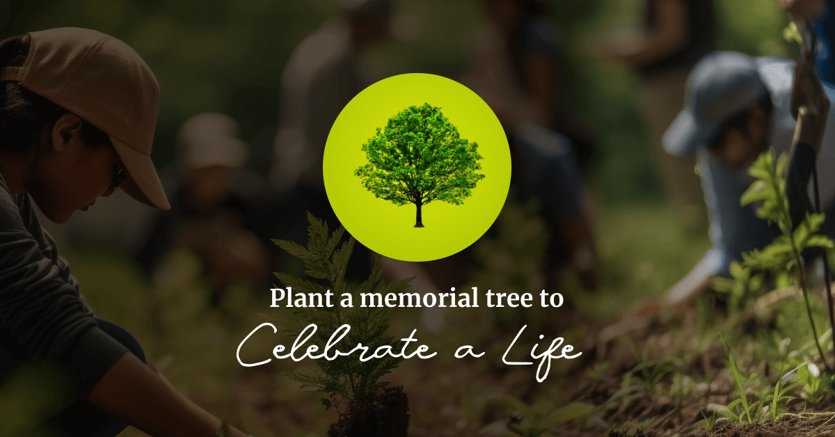 Plant A Tree In Memory | Plant Memorial Tree