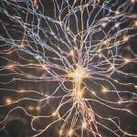 carrieficktherapy carrieficktherapy