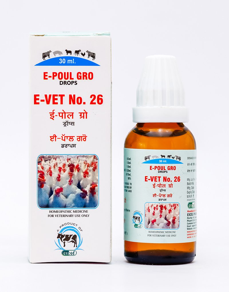 Homeopathy medicine for Poultry to promote Growth, Immunity