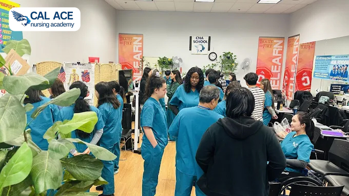 How Does a‍ CNA Training Academy in San Diego Boost Your Pay? – Site Title