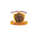 Golden xpress labra doodles