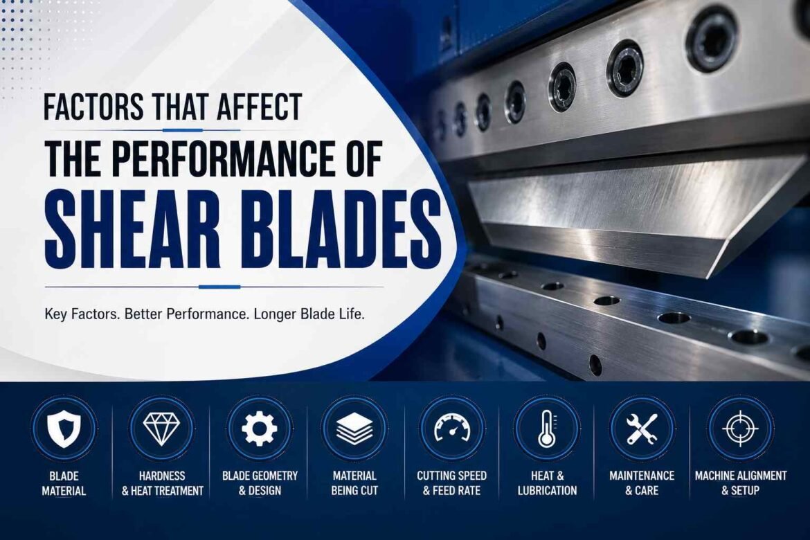 Factors That Affect the Performance of Shear Blades – Zooby News