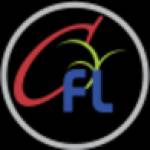 Chintamani Finlease